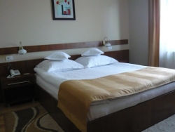 Hotel Crisana - Arad - poza 3 - travelro