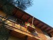 detalii exterior