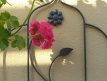 gradina 2