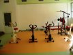 Sala fitness 1