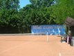 Teren de tenis 