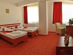 Hotel Alexis - Cluj-Napoca - poza 3 - travelro