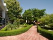 Gradina 6