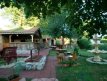 Gradina 7