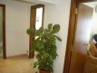 Hol apartament