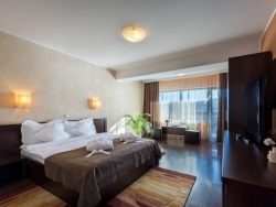 Hotel Vila Hera Luxury - Predeal - poza 3 - travelro