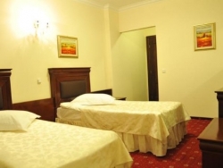 Hotel Vila Boierului - Ramnicu Valcea - poza 3 - travelro
