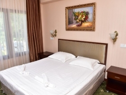 Hotel Pensiunea Casa cu Tei - Resita - poza 3 - travelro