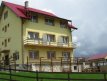 Hotel Pensiunea Pui de Urs Rucar