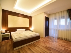 Hotel Pensiunea Sarmis - Sarmizegetusa - poza 3 - travelro