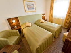 Hotel Rex - Sighisoara - poza 3 - travelro