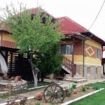 Hotel Pensiunea Magnolia Tismana