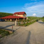 Hotel Pensiunea Sarea in Bucate Turda
