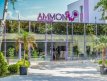 Hotel Ammon Venus