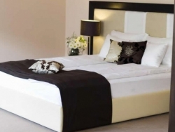 Hotel Griff - Zalau - poza 3 - travelro